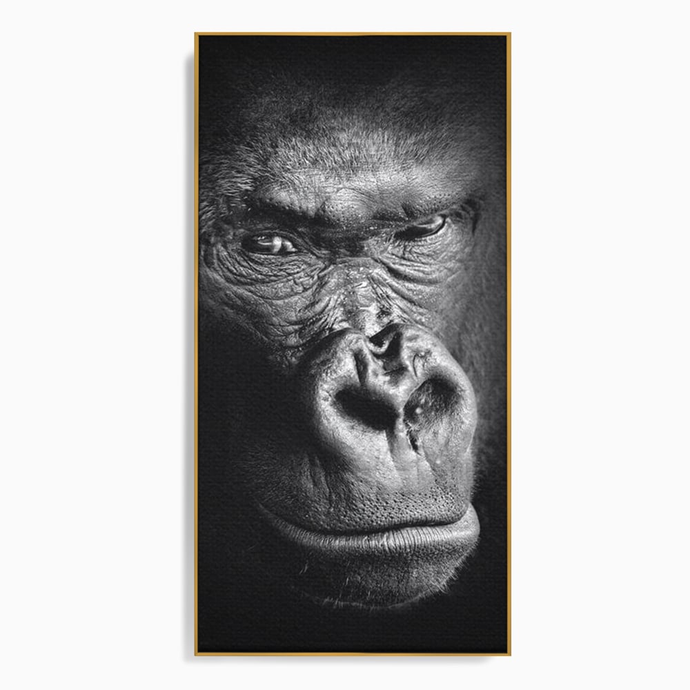 Tablou canvas cu tablou canvas cu portret de gorila, in rama de aluminiu auriu